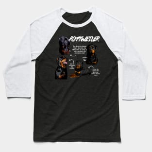 Rottweiler Fun Facts Baseball T-Shirt